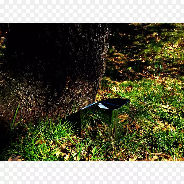 ɭ�ֲ�ƺ���۲�����Ⱥ����-������