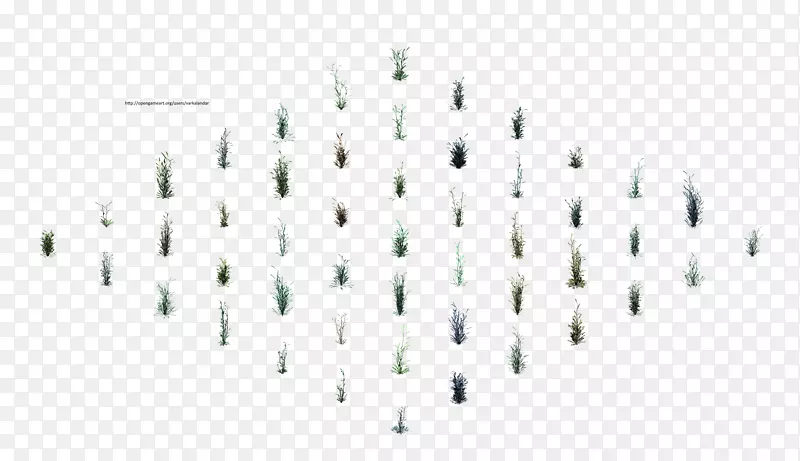 ֱ�ߵ����-������