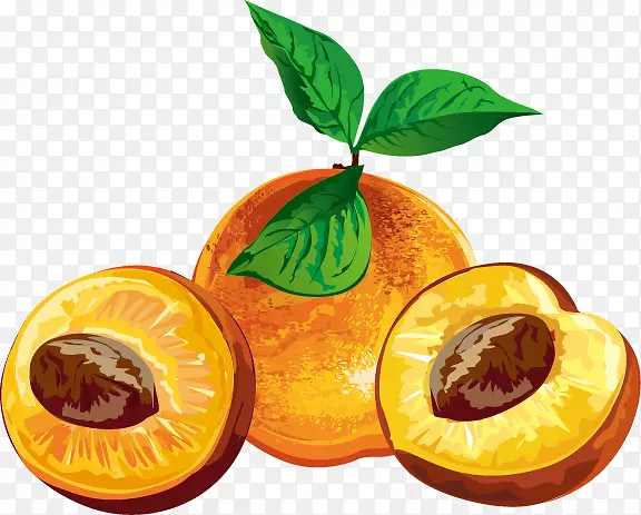 ��ѱ�ǩ��ͼ-����-������