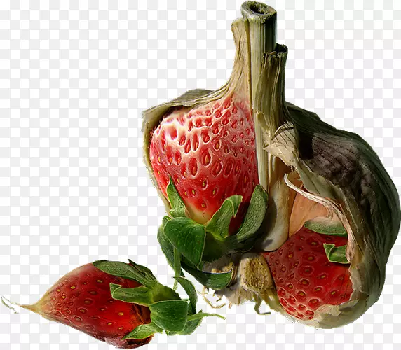 ��ʵ��ݮ�˽����߲���֦-������