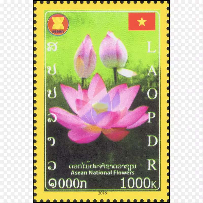 ����ֲ��-������