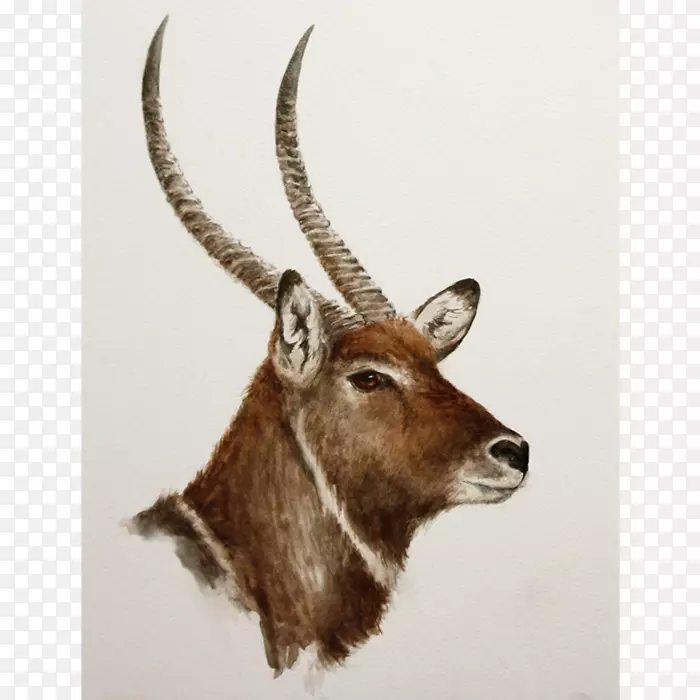 ˮ¹�������Ұ������ܸ������-�����-������