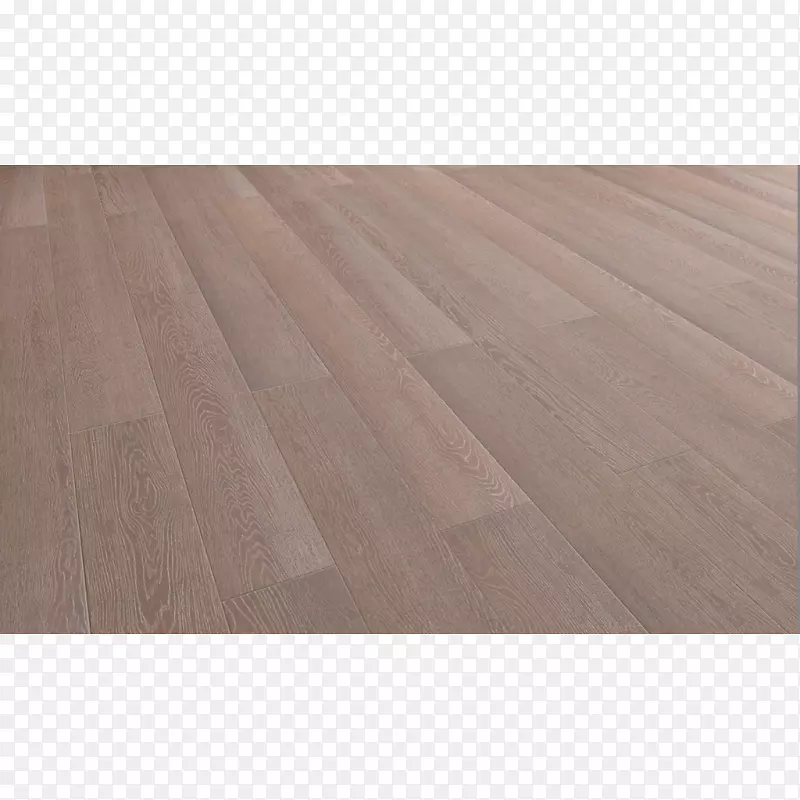 ľ�ذ�-������