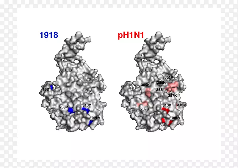 �������鱦��ʯ���屦ʯ-������