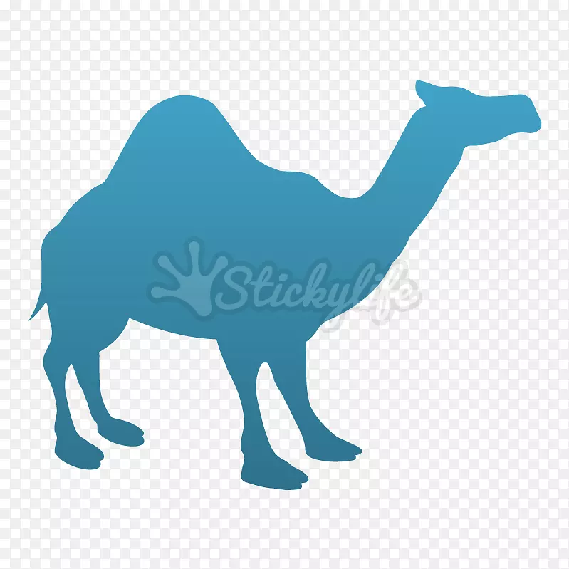 ǽ����ֽ-��ϩ����ֽ-������