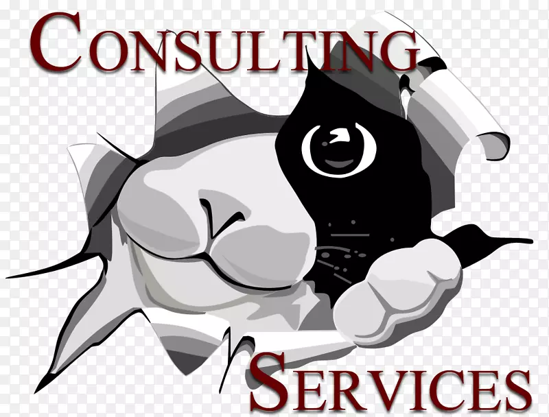 ����˹/è������Ӱ-è-������