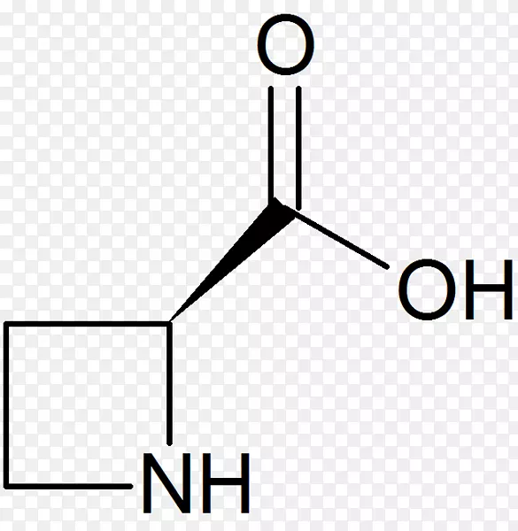 ������ͬ�Ͱ��װ���̼������-Elrond-������