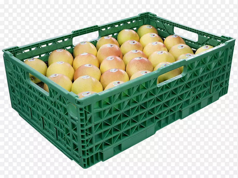 �߲˹���-������