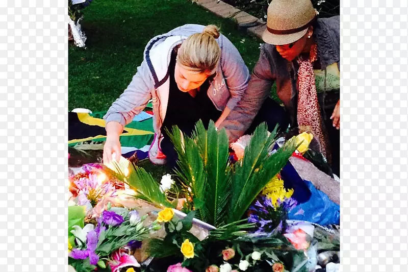 ������ƻ�԰����ֲ�����-������