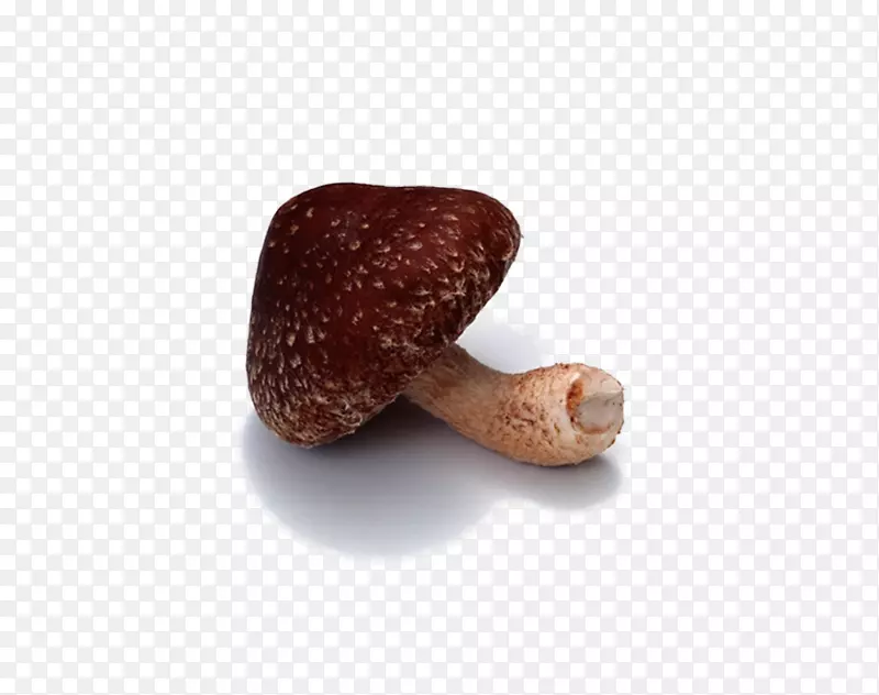 �㹽�߲�Ģ��ͼƬ-������