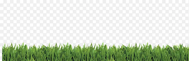 ��ݲ�ƺ�ݵ��������Ȼ���־���-������