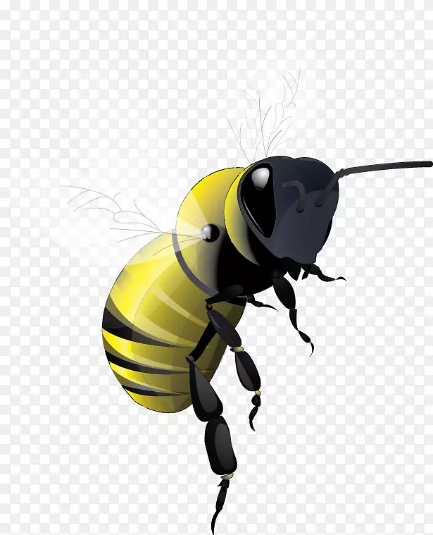 �۷�ɷ�-������