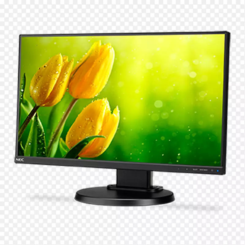 ������ʾ��led.����lcd ips���.Һ����ʾ��nec MultiSync e221n 21.5��ȫ����ips�����������-������