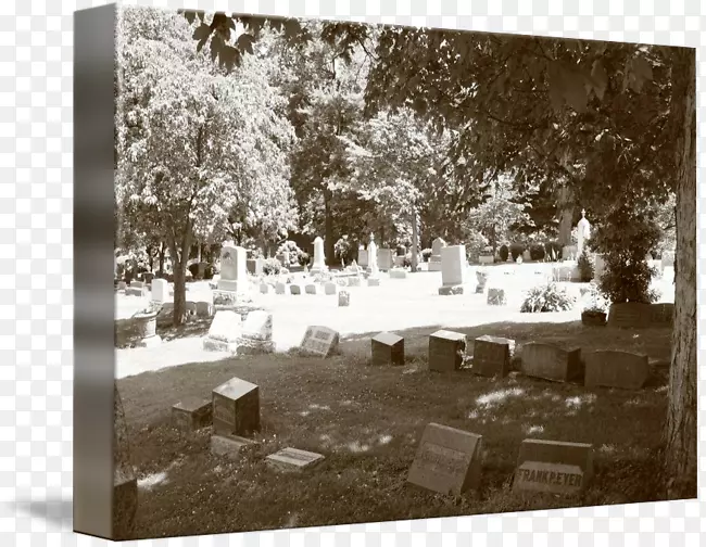 ������Ӱ��-������