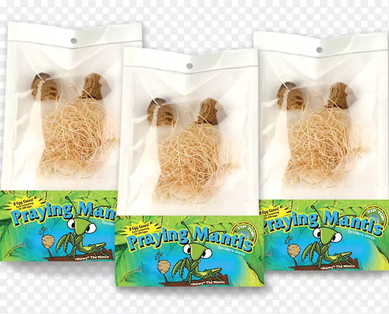 ����ѿ������-������