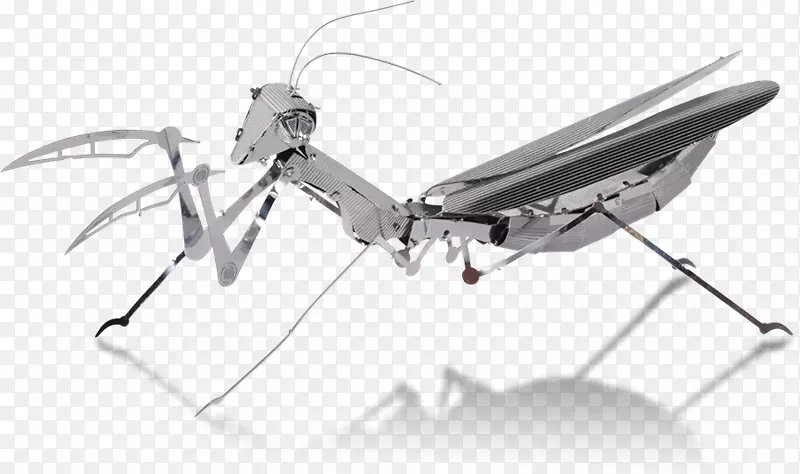 �����ŷ�����-����-������