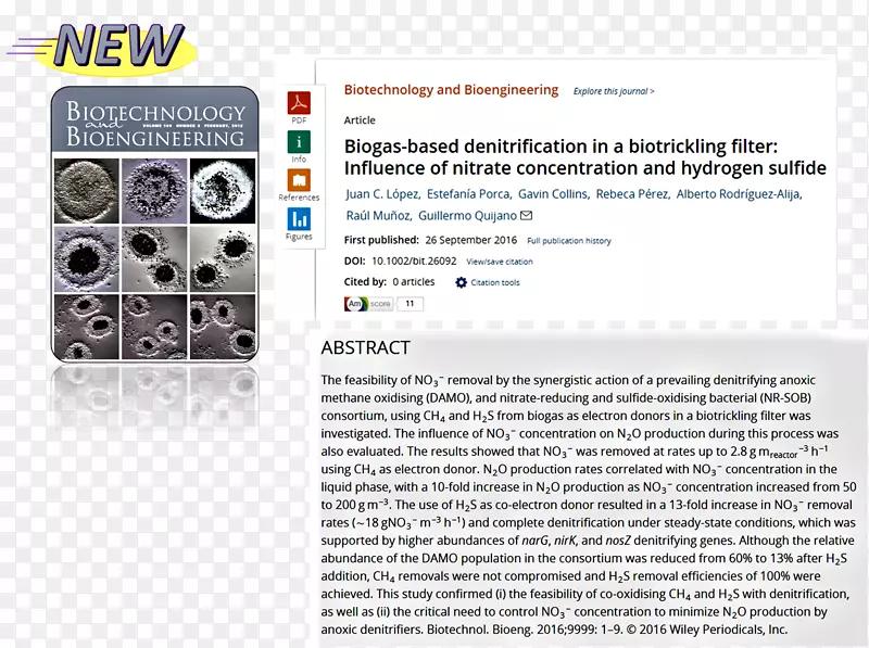 ��ý��������-������