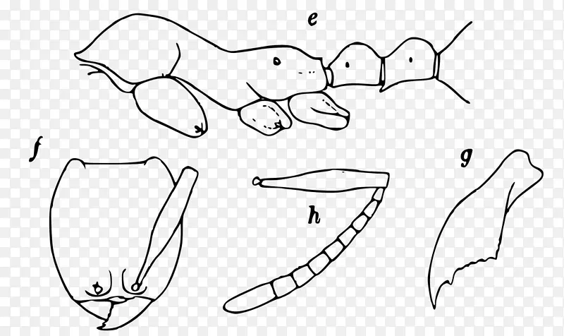 ����������ָ��ͨ����-���ֳ�-������