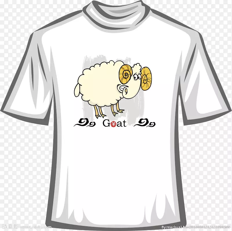 t������ñ���ʦ������ͨt��-������