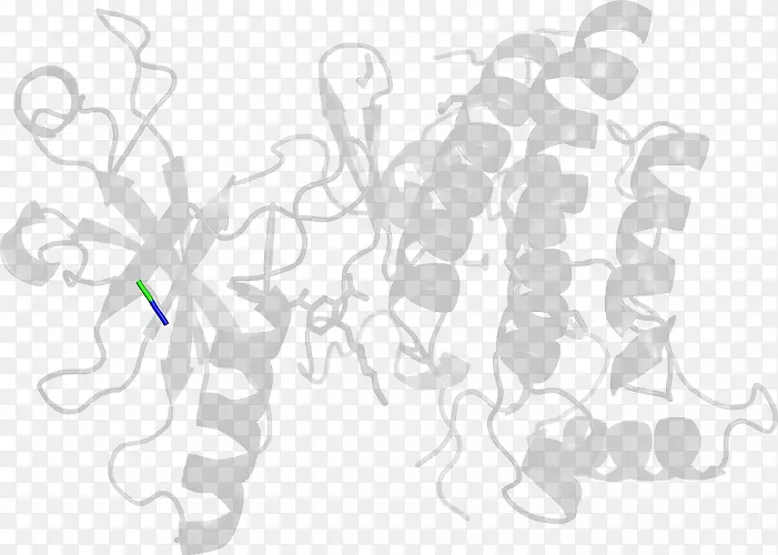 ��ɫ���-������