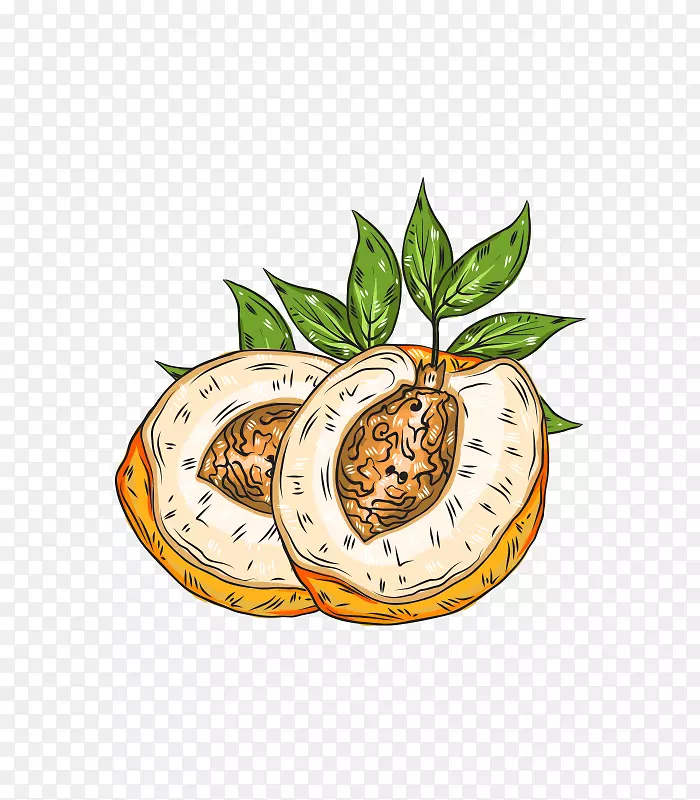 �廭ͼ-��ζ����-������