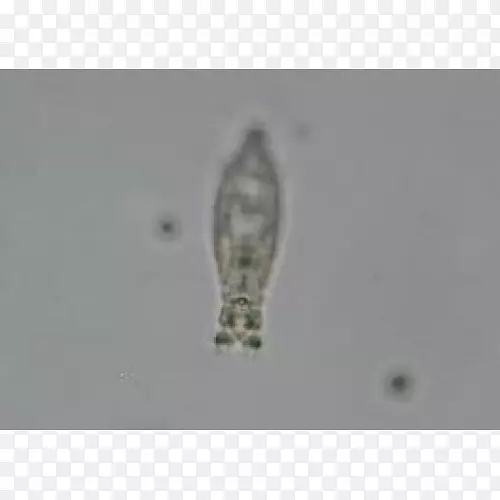 ����-������