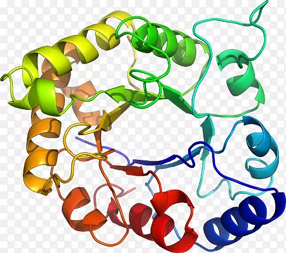 ���������л����߼�������-������