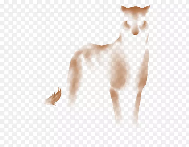 ����è������Ȯ��è-������