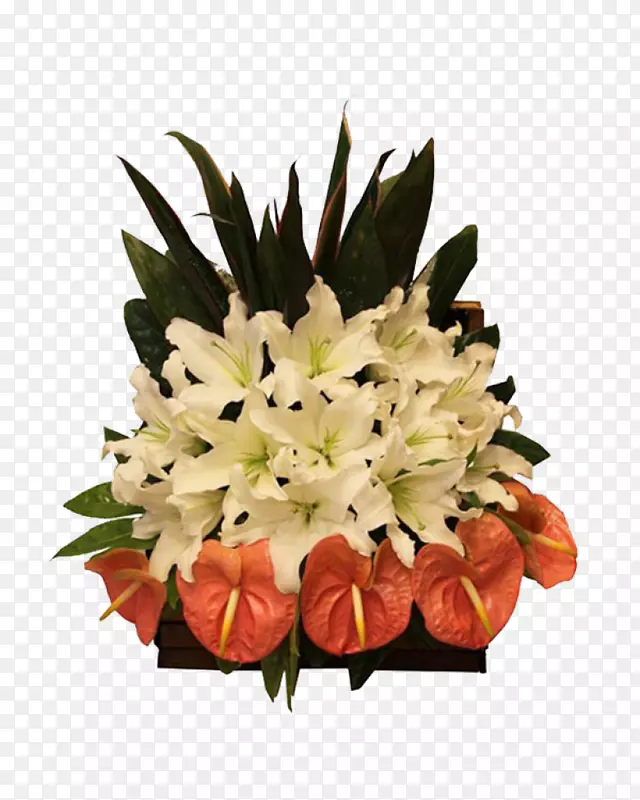 ��������л��������껨-������