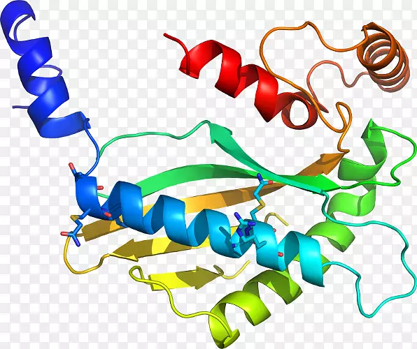 ���������л����߼�������-������