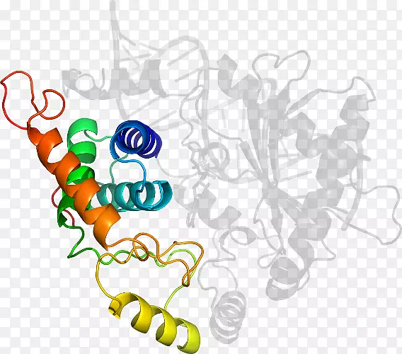 �ߵ������������-������