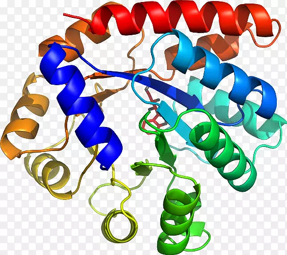 �����鱦�л��������.�鱦-������