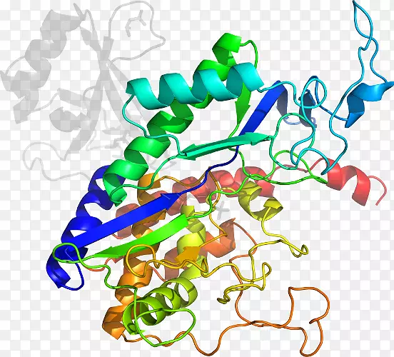 ���������л����߼�������-������