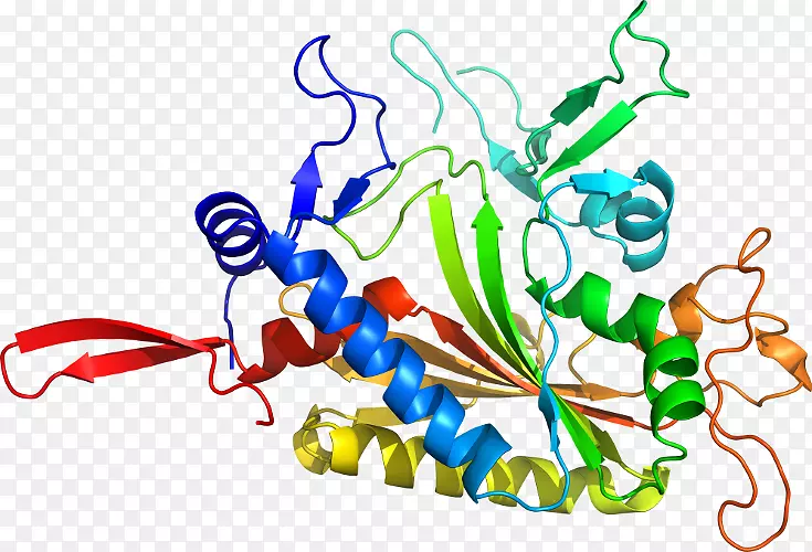 ����������ƽ����Ƽ�������-������