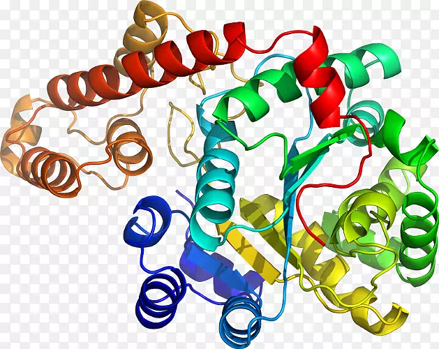 ���������л����߼�������-������