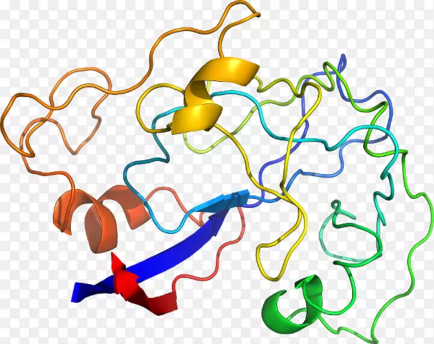 ������Ϊ���������-������