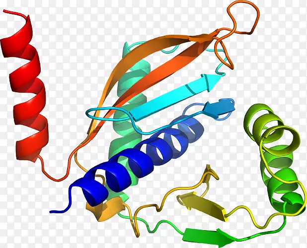 �����鱦�߼�������-������