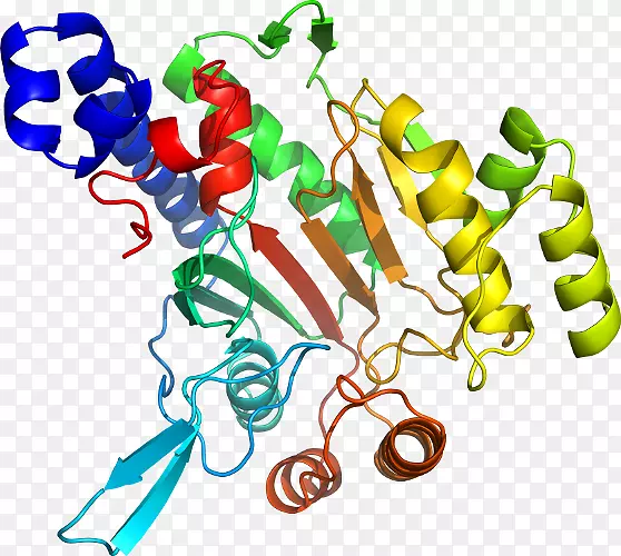 ���������л����߼�������-������