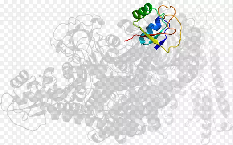 �����ֽͼ����Ƽ��������-������