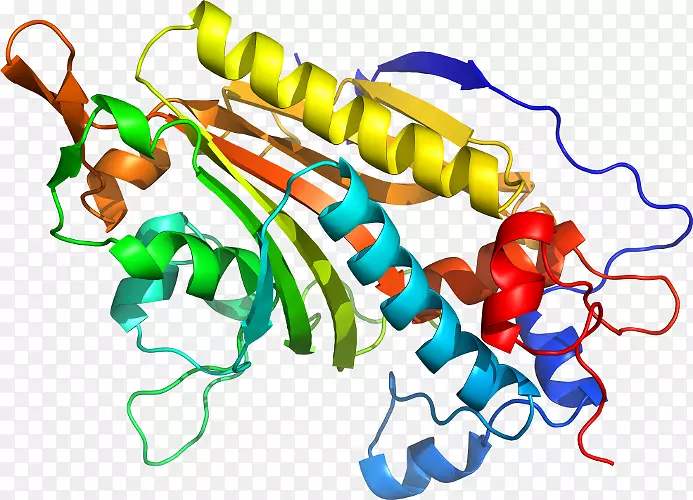 ���������л����߼�������-������