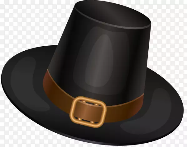 ��ȫñ����ͼ�У�����ñ-������