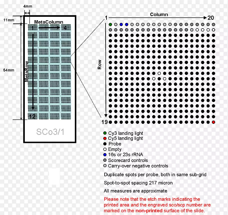 �ߵ���������-������