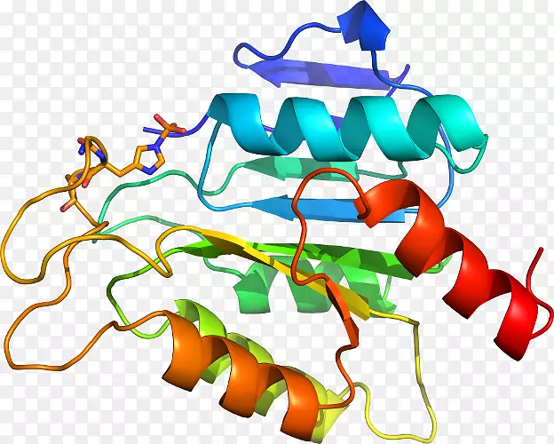 �ߵ������-��-������