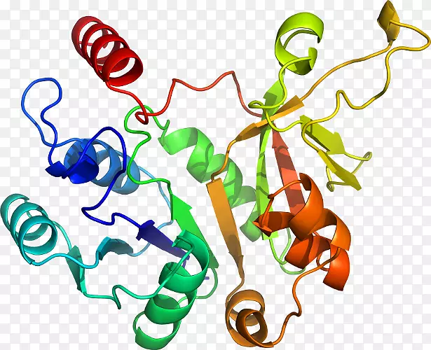 �ߵ����鱦������������-������