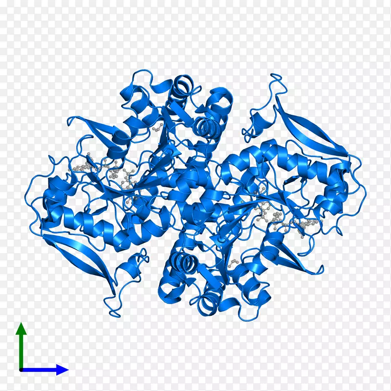 �ߵ������-��-������