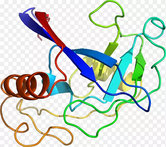 �ߵ������������-������