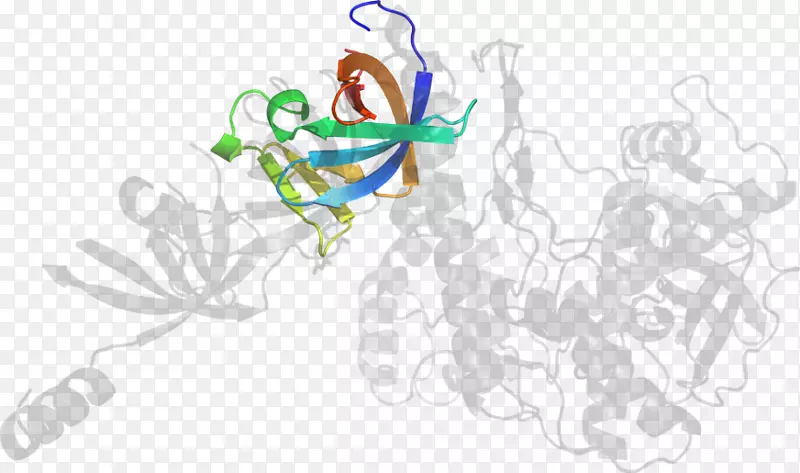 ���������-������