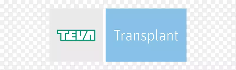 �̱��������-������