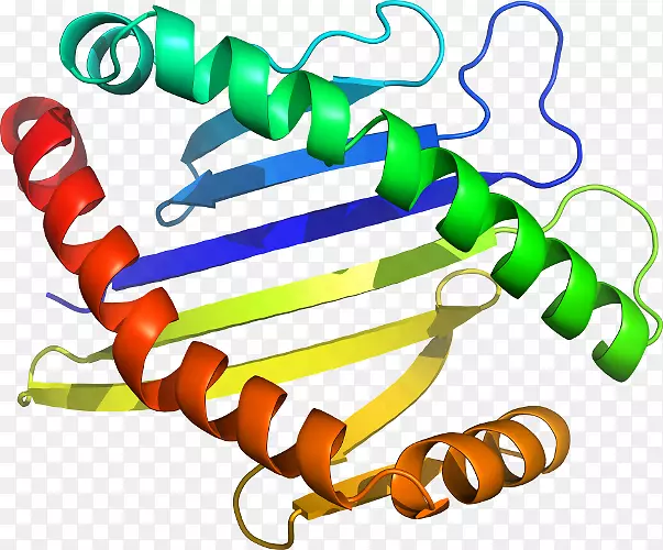 ʳƷ����ϵ�м�����ϵ��-������