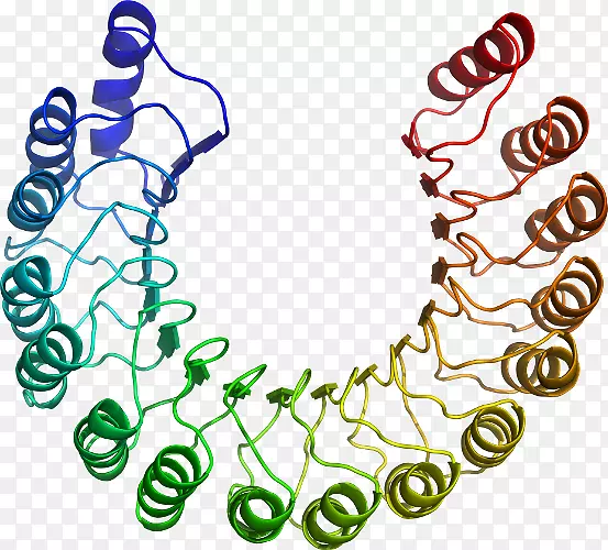 �����鱦���л����������-������